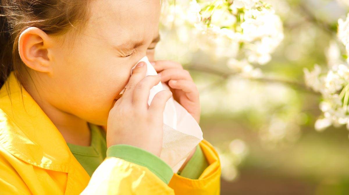 Аллергический ринит у ребенка: симптомы и лечение, как отличить от обычного насморка