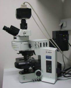 Прибор для люминесцентной микроскопии