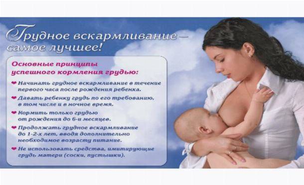 Чем лечить кашель у кормящей мамы: что разрешено и что запрещено