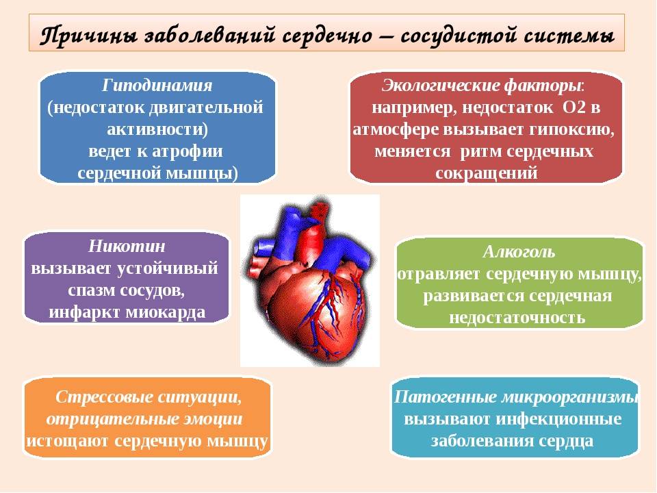 Основные причины заболеваний сердечно-сосудистой системы и .