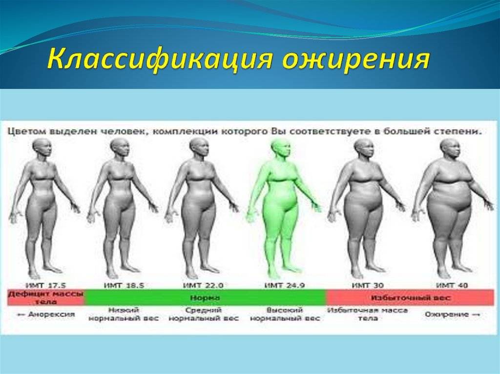 Диета По Типу Ожирения