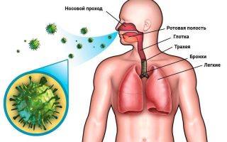 Как передается туберкулез