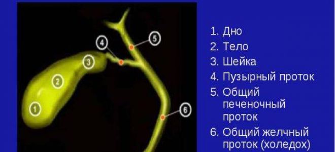 Диета при холецистите