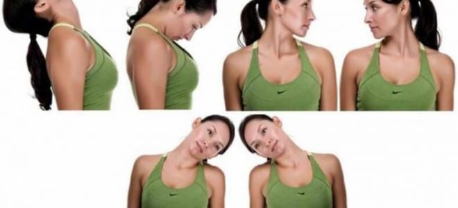 3 комплекса лфк и упражнений при протрузиях позвоночника