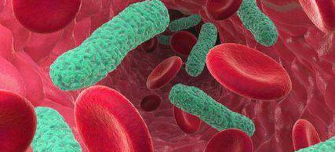 Пути передачи инфекции: как защитить себя от болезни?