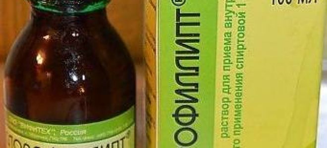 Показания и рекомендации по применению физраствора для ингаляций