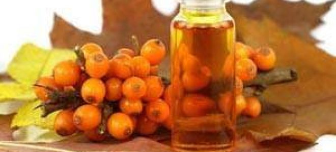 Лучшие народные средства для лечения аденоидов