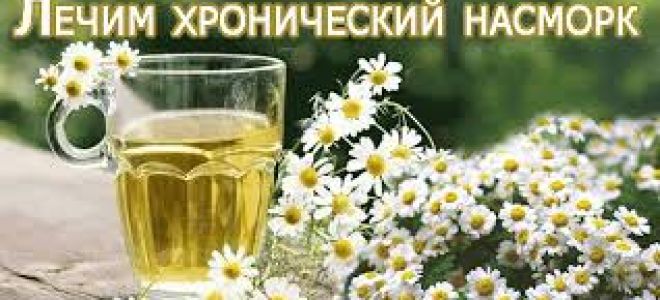 Лечение вазомоторного ринита народными средствами