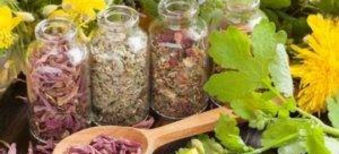 Панкреатит лечение народными средствами в домашних условиях