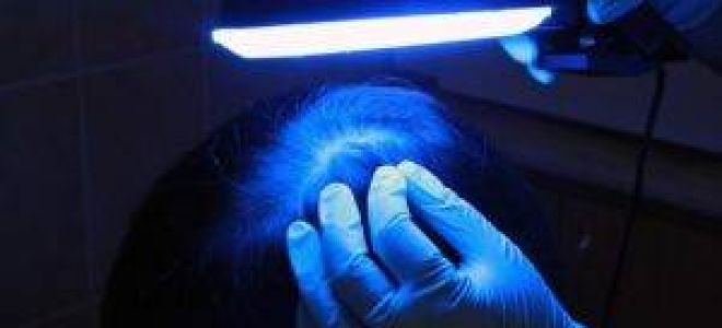 Кварцевая и бактерицидная ультрафиолетовая лампа для дома: основы выбора. поможет ли лампа от коронавируса?