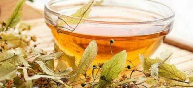 Лечение гемангиомы печени народными средствами в домашних условиях