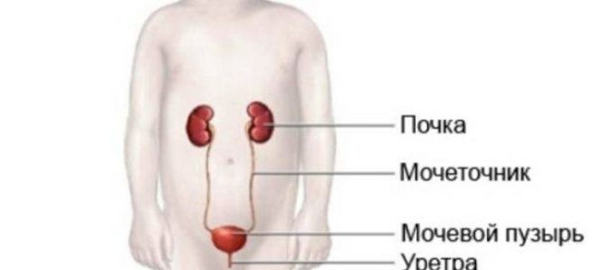 Рекомендации по диагностике и лечению инфекций мочевыводящих путей у детей