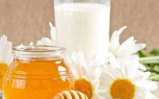 Самые простые и эффективные рецепты с молоком и медом от кашля