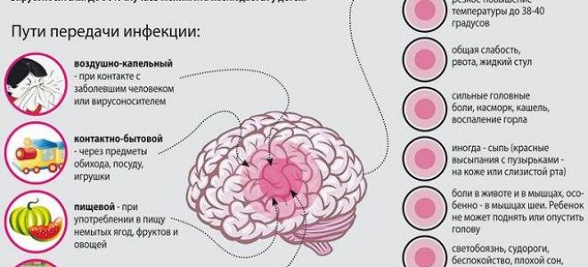 Вирусный менингит