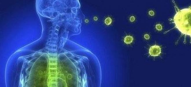 Клебсиелла у беременных