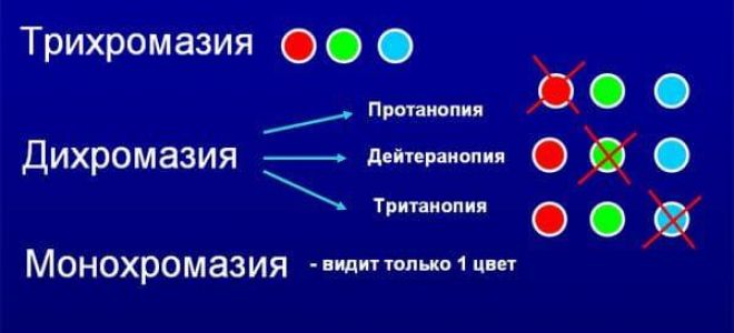 Секреты генетики: как наследуется дальтонизм