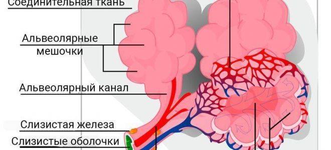 Фиброзно-кавернозная форма туберкулеза