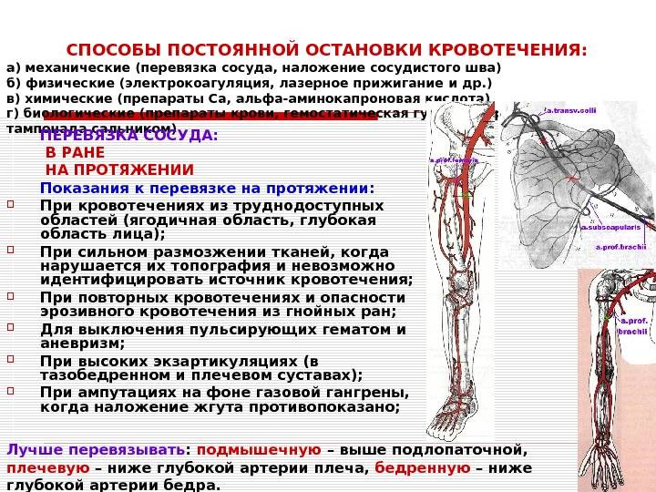 Аберрантная подключичная артерия и ее ветви, борозда: анатомия, схема, сегменты