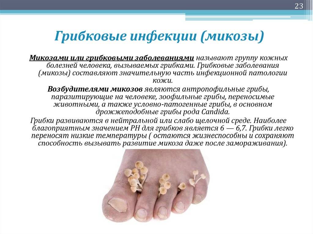 ✅ грибок в бронхах: симптомы и лечение - vrach-med.ru