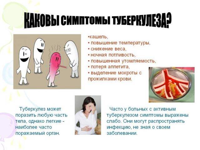 Основные признаки туберкулеза легких на ранних и активных стадиях у взрослых женщин