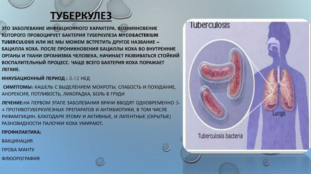 Инкубационный период туберкулеза у взрослых, первые симптомы