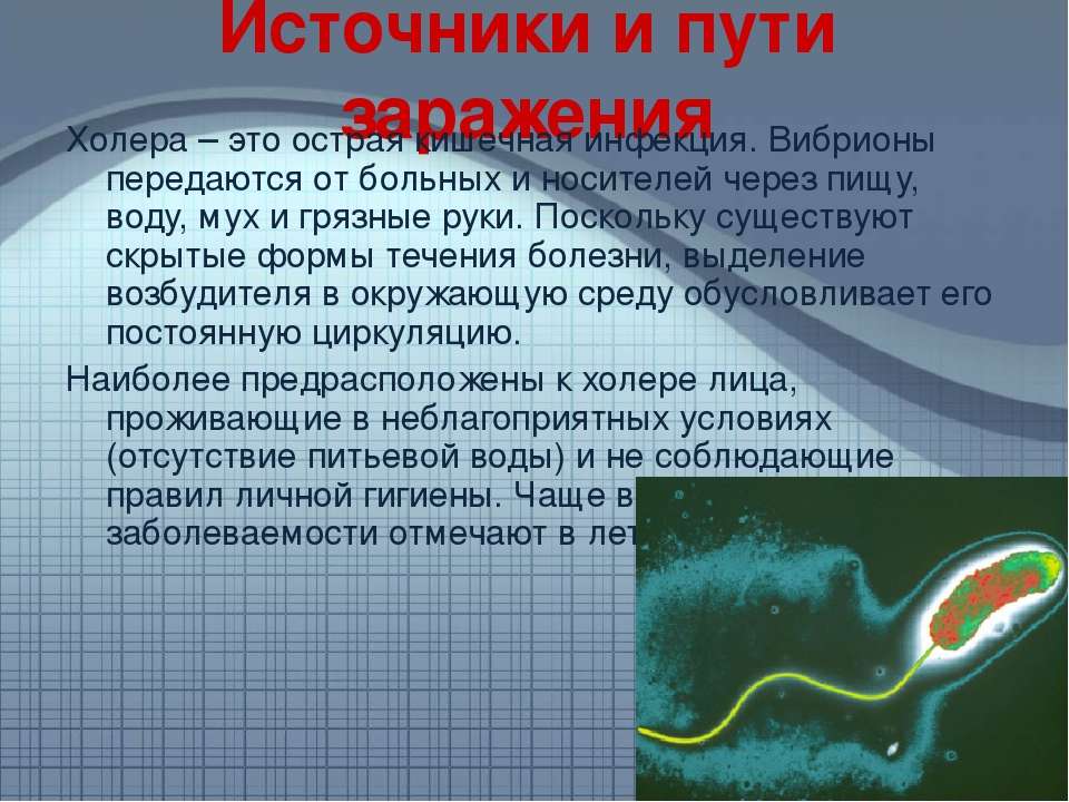Что такое холера, симптомы, лечение и профилактика заболевания medistok.ru - жизнь без болезней и лекарств