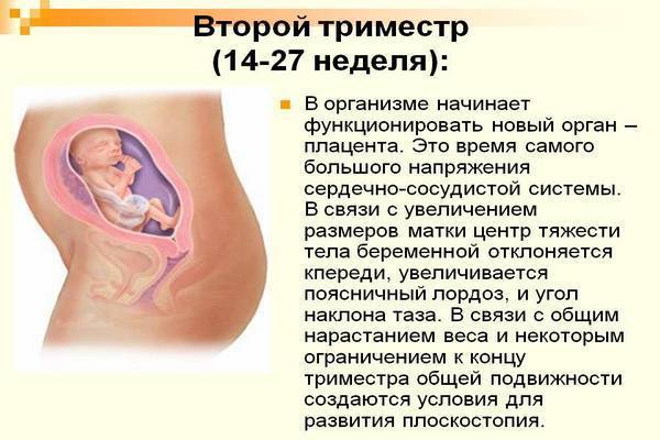 Ангина при беременности 1,2,3 триместр — симптомы, последствия. лечение ангины при беременности