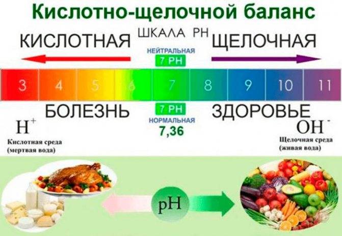 Щелочные продукты питания список по процентам таблицу. щелочные продукты питания: список, система питания - лечение