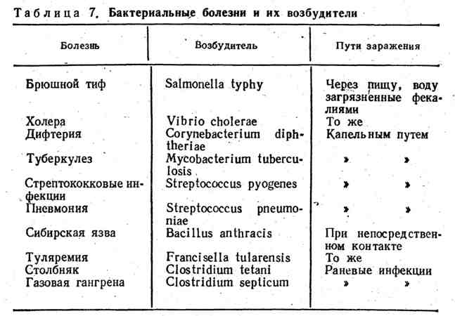 Какие бывают кишечные инфекции: виды, причины, симптомы, лечение - sammedic.ru