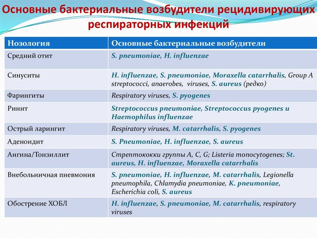 Болезни, вызываемые бактериями: список, симптомы и лечение - sammedic.ru