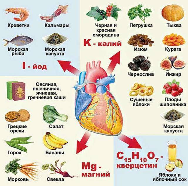 Продукты для сердца и сосудов: полезные и вредные | компетентно о здоровье на ilive