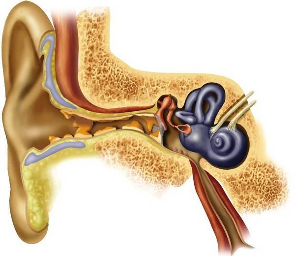 Пробки в ушах лечение в домашних условиях – ушная пробка — как избавиться от серной в ухе, симптомы и лечение в домашних условиях у взрослых, что делать, признаки, профилактика