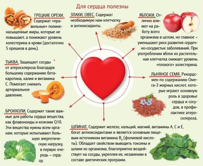 27 продуктов, полезных для сердца и сосудов: какие из них самые лучшие для укрепления и улучшения работы сердечно-сосудистой системы