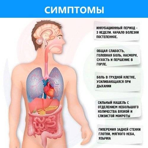 Основы самодиагностики или как в домашних условиях определить пневмонию