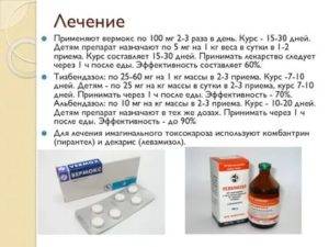 Токсокара у взрослых - симптомы и лечение народными средствами и препаратами