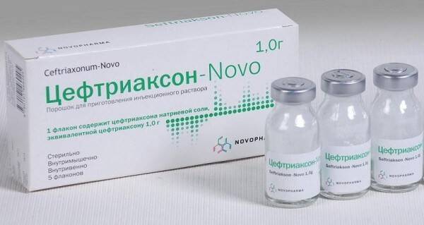 Антибиотик левофлоксацин: можно ли принимать при пневмонии, показания к применению при бронхите и побочные эффекты | prof-medstail.ru