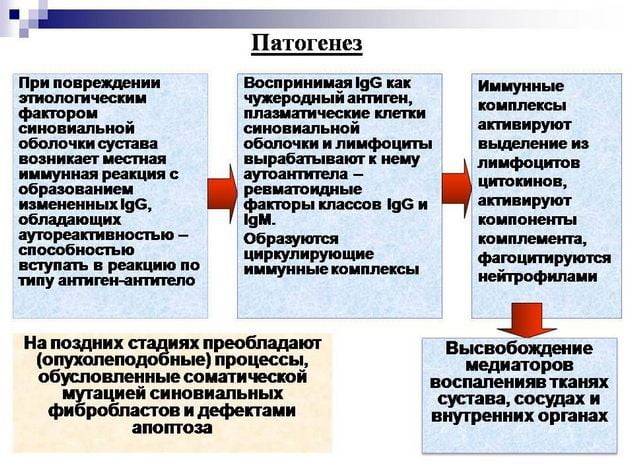 Диагностика ревматоидного артрита. какие анализы сдавать при ревматоидном артрите - sammedic.ru
