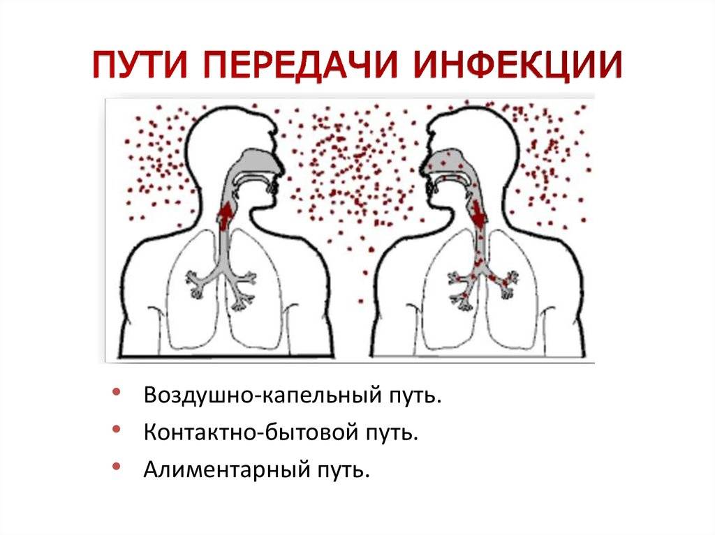 Как передается туберкулез от человека к человеку