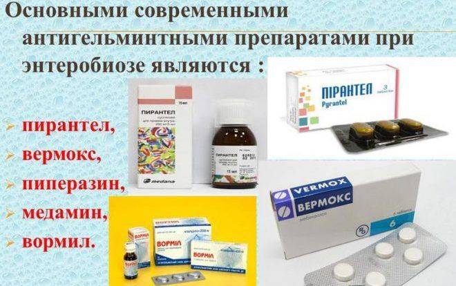 Токсокароз - лечение народными средствами в домашних условиях | prof-medstail.ru