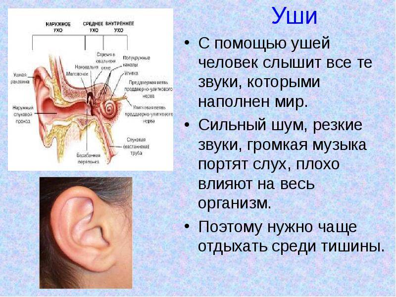 Заложены уши при простуде как лечить