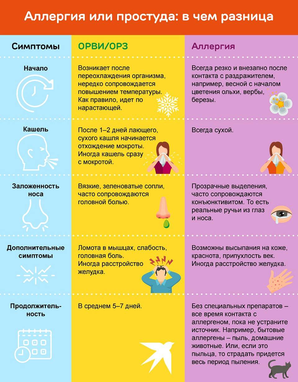 Как отличить аллергический насморк от простудного: основные отличия, симптомы и методы лечения - sammedic.ru