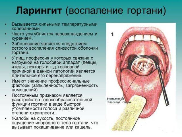 Трахеит у детей: лечение препаратами и народными методами - горлонос.ру