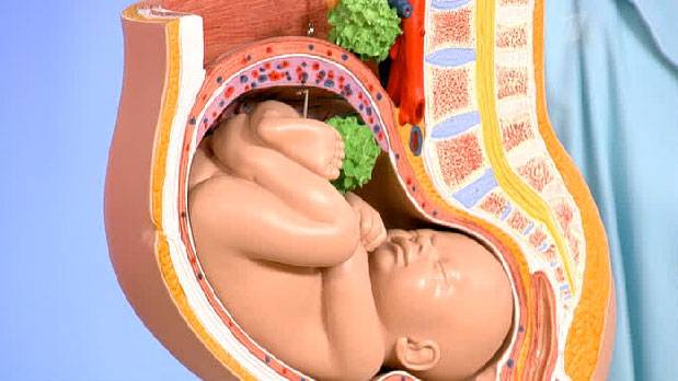 Фарингит при беременности - бережное лечение, влияние на плод, последствия на раннем сроке