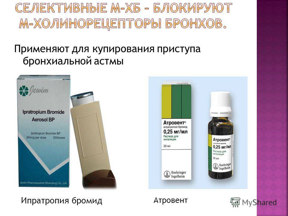 Как снять приступ астмы в домашних условиях pulmono.ru
как снять приступ астмы в домашних условиях