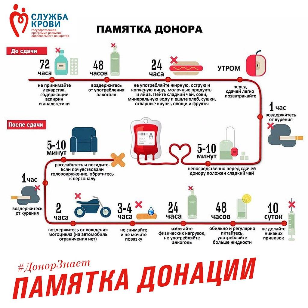 Диета перед сдачей крови на донорство: правильное питание донора до и после процедуры, примерный донорский рацион, разрешенные и запрещенные продукты