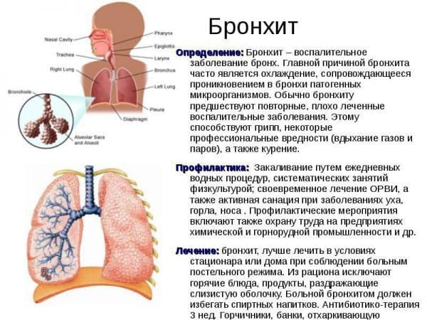 Бронхит и трахеит — симптомы, лечение, чем отличаются | pnevmonya.ru