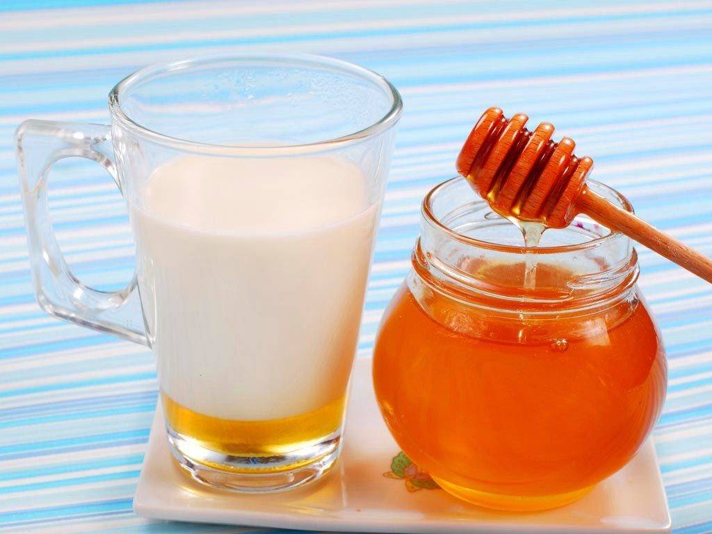 Калина с медом. какая польза и какие противопоказания