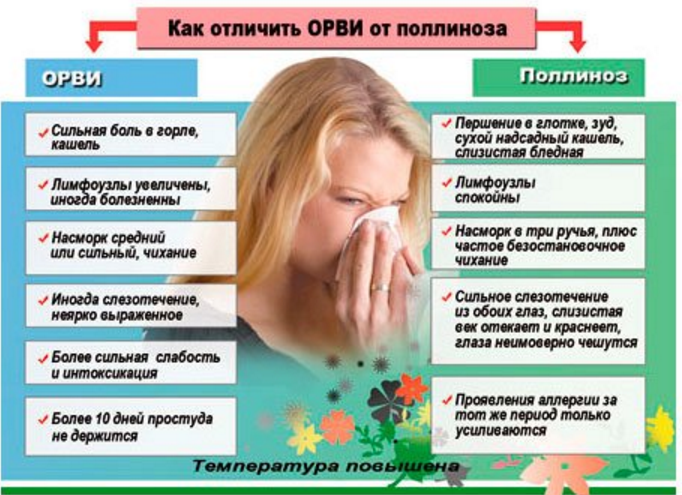Аллергия, насморк и чихание - лечение: средства, как и чем лечить аллергическое летом, при простуде, что делать, как вылечить, что помогает