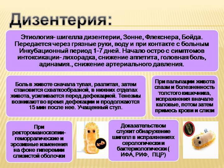 Амебная дизентерия у человека: симптомы, методы диагностики и схема лечения - sammedic.ru