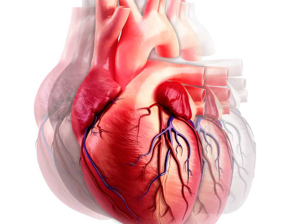 Осложнения инфаркта миокарда: аритмические, механические, воспалительные | кардио болезни